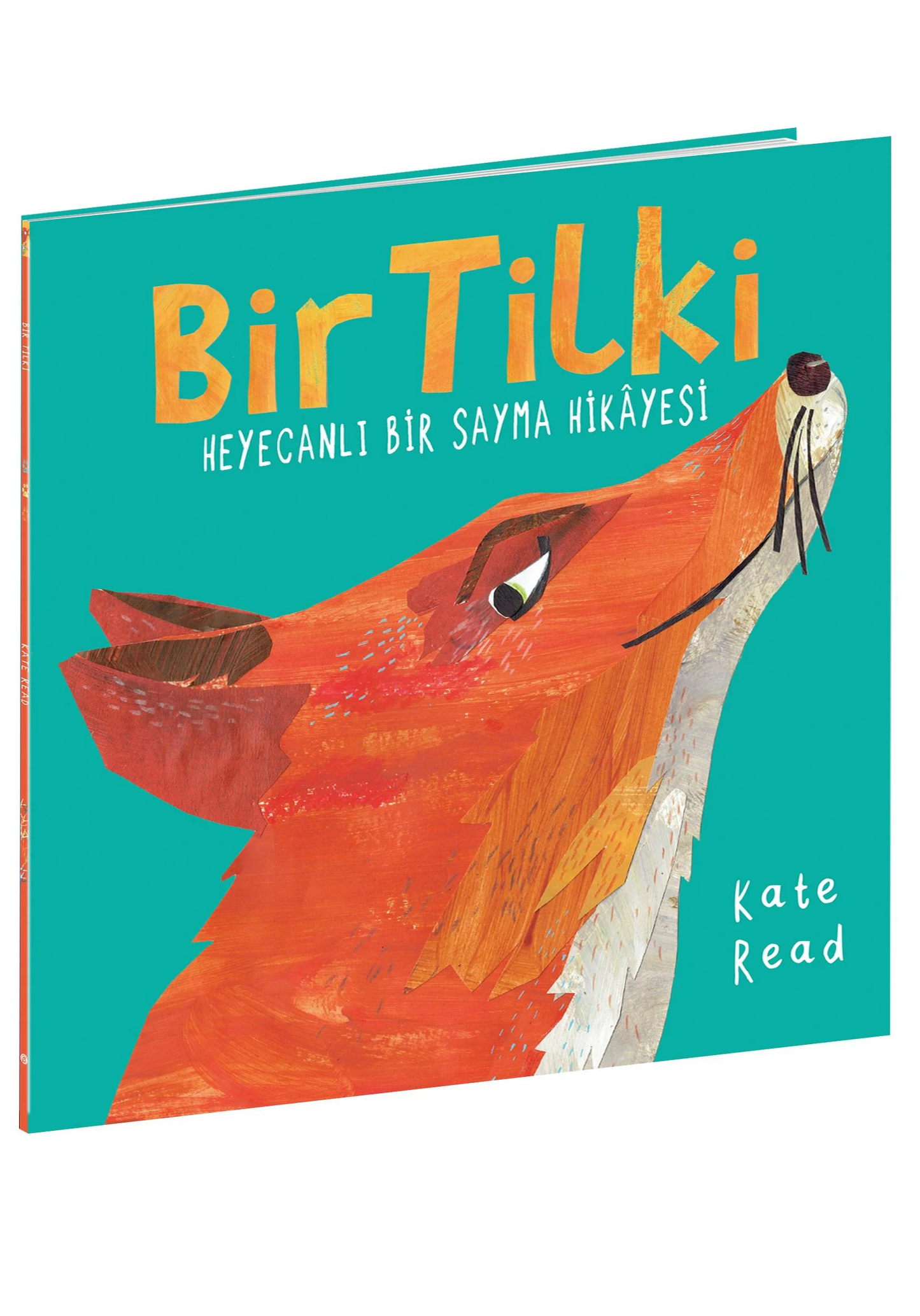 A Fox's Exciting Counting Story