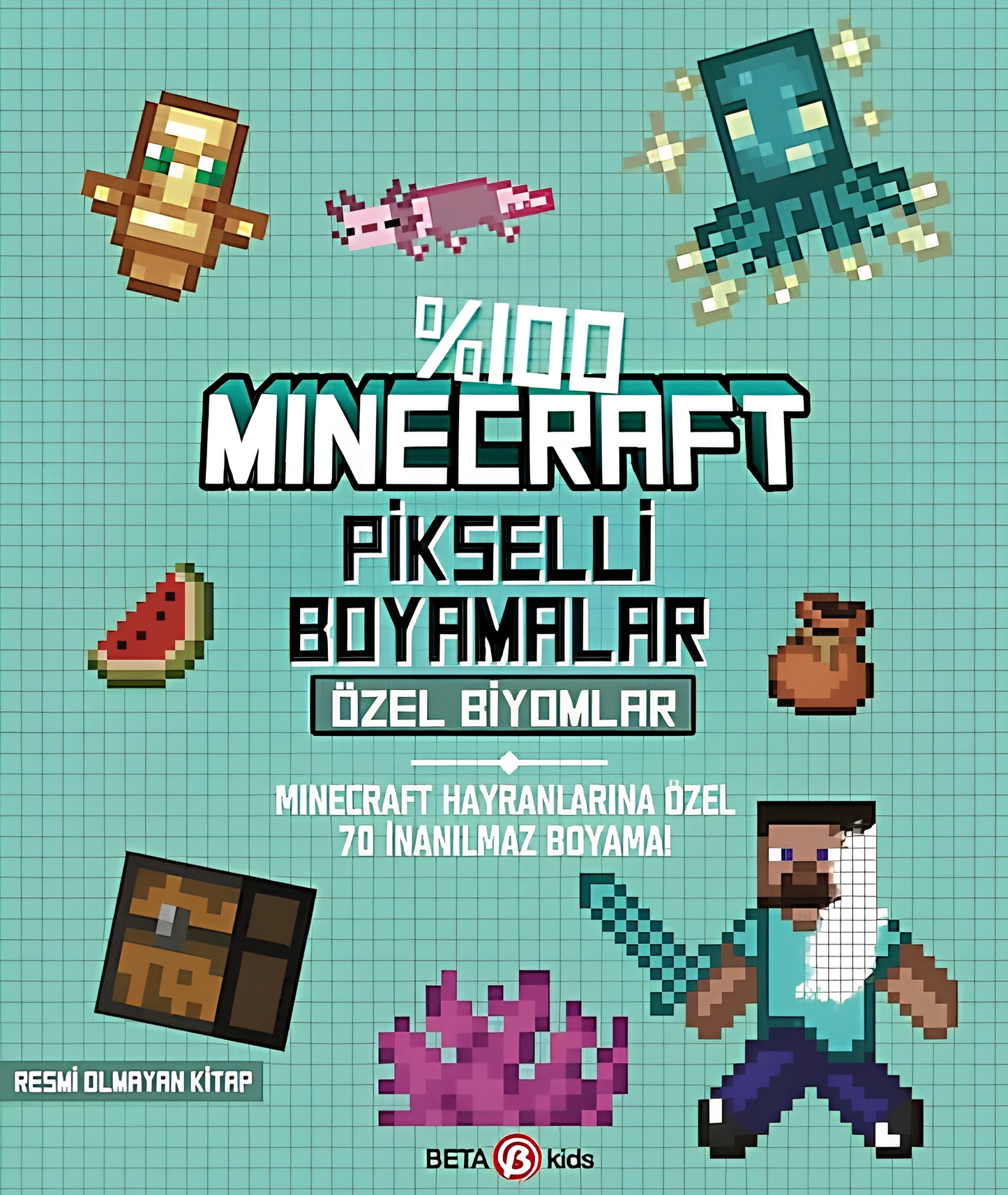 100% Minecraft Pixelated Colorings Custom Biomes