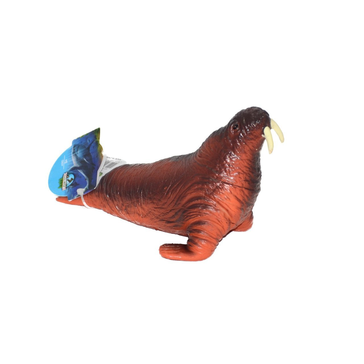 Soft Sea Animals