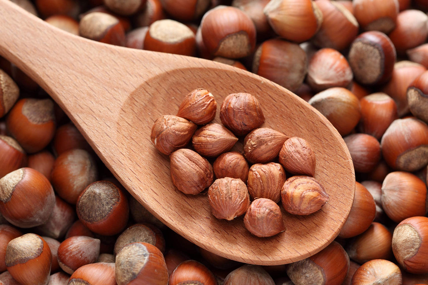 Cerez Pazari Turkish Raw Hazelnuts (Filberts), No Shell Natural Unsalted Hazelnuts, Healthy Keto Paleo Diet Snacks, Premium Quality, Gluten-Free, Vegan, Non-GMO, Resealable Bag, 2 lbs