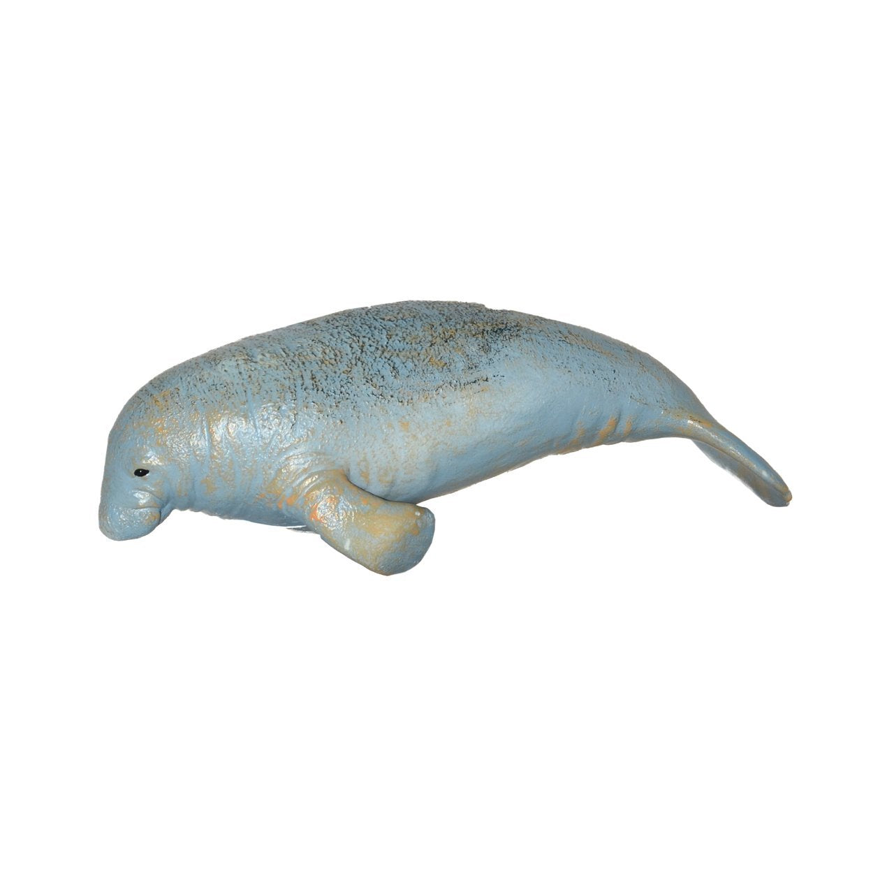 Soft Sea Animals