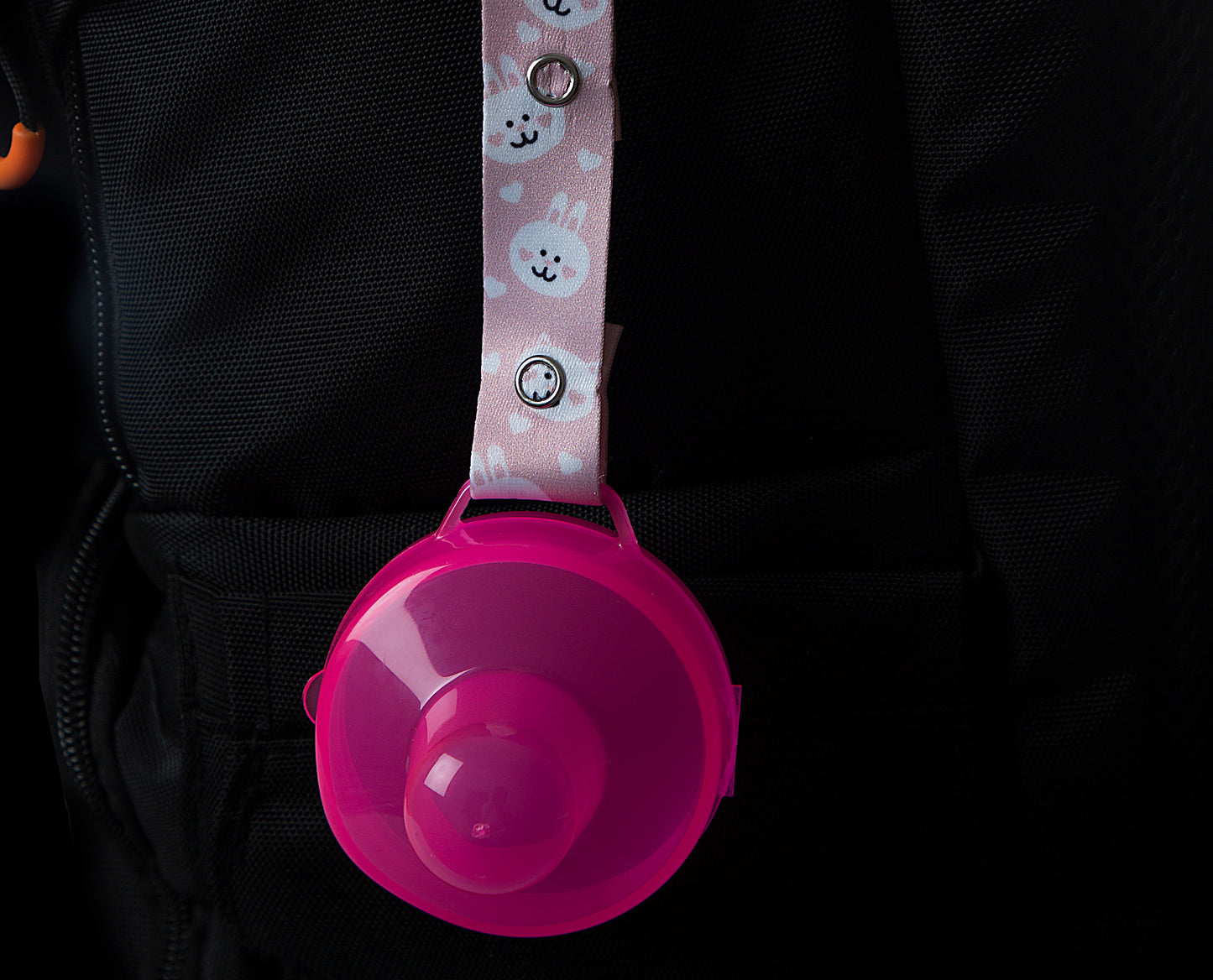 Babyjem pacifier case