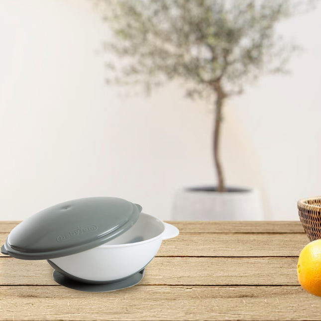 Babyjem vacuum plate