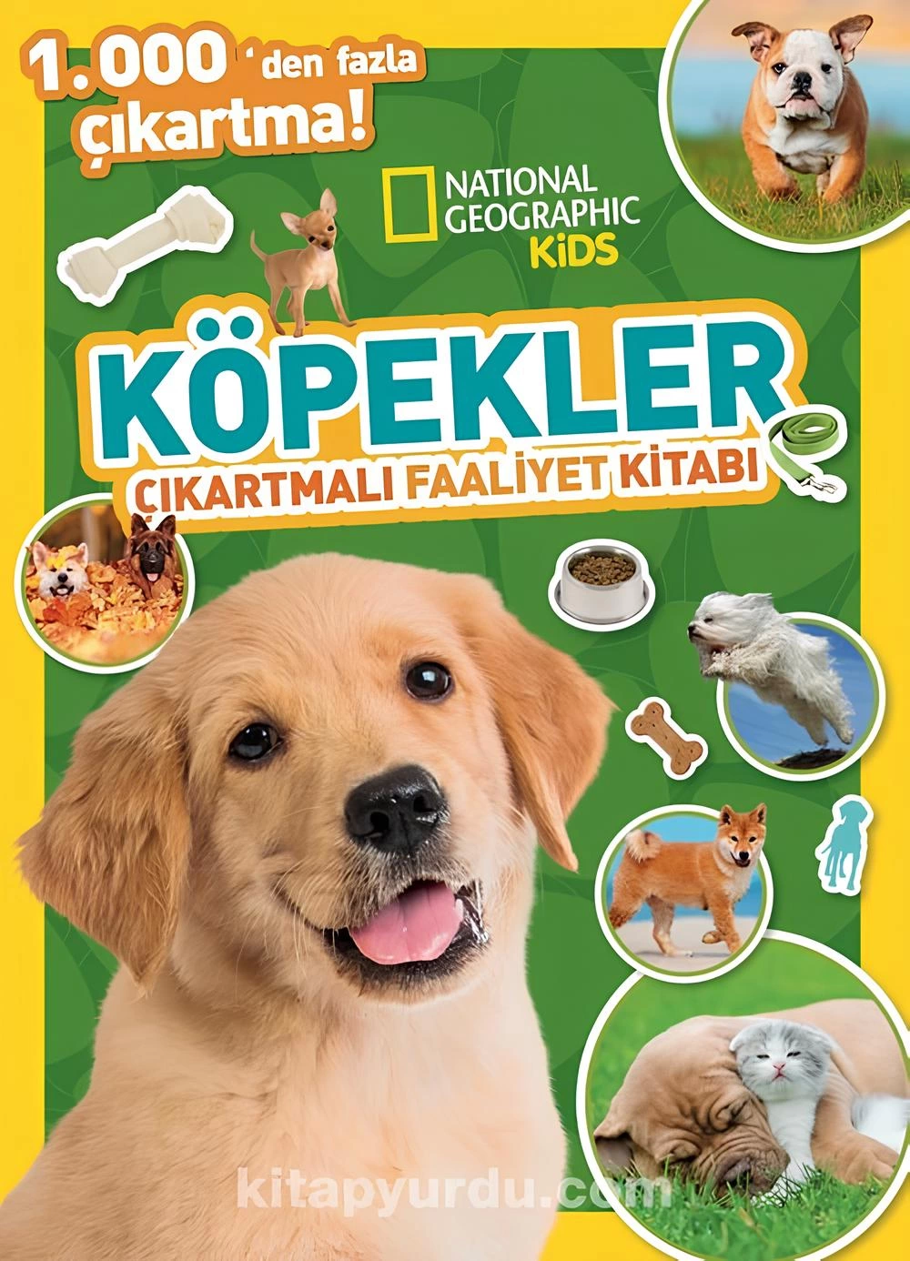 National Geographic Kids Dogs Sticker Activity Book