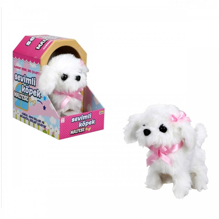 Sunman Cute Dog Maltese