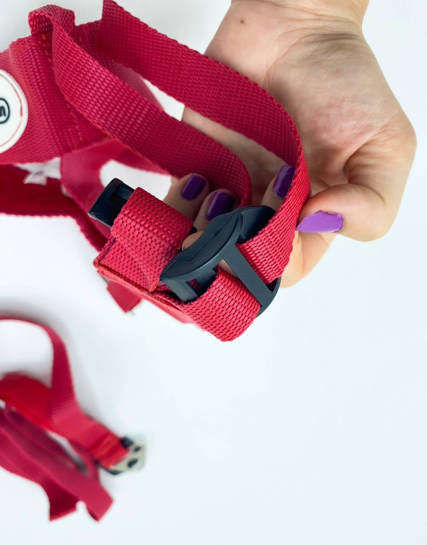 Babyjem safety belt