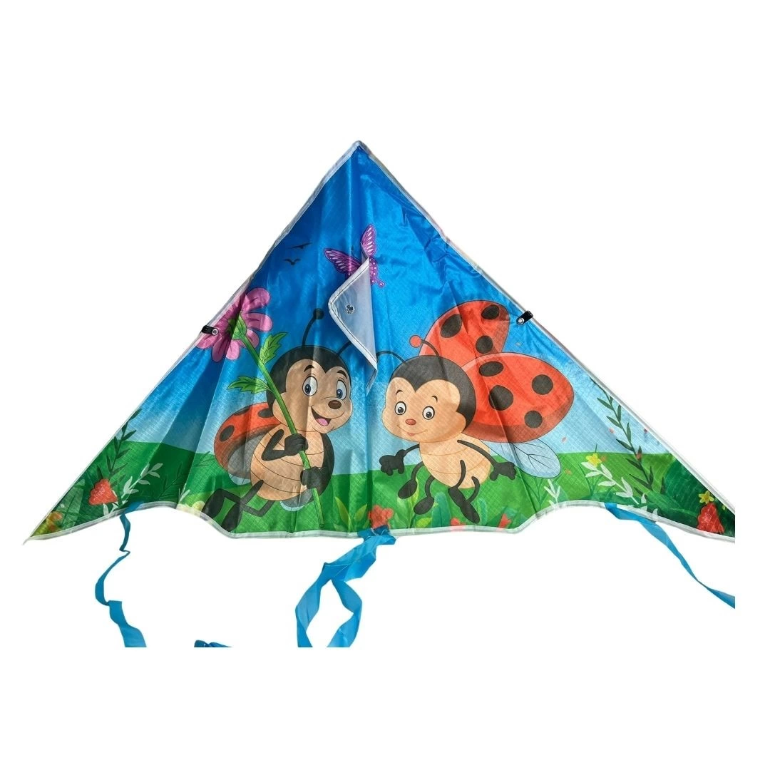Colorful Kite