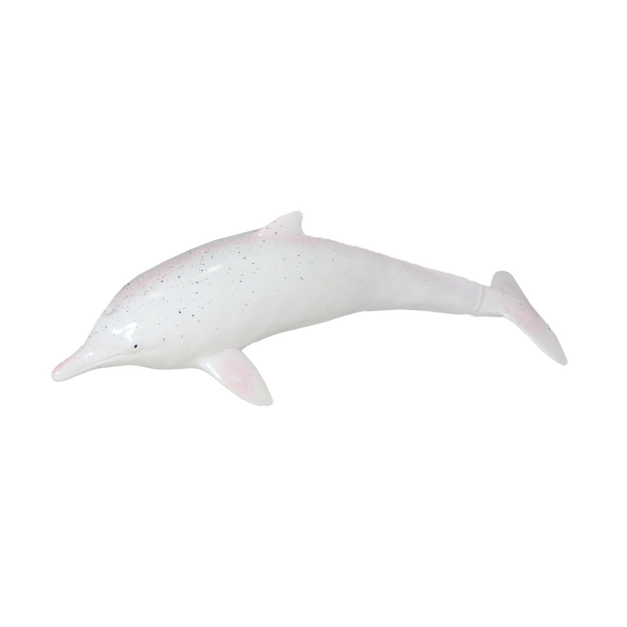 Soft Sea Animals