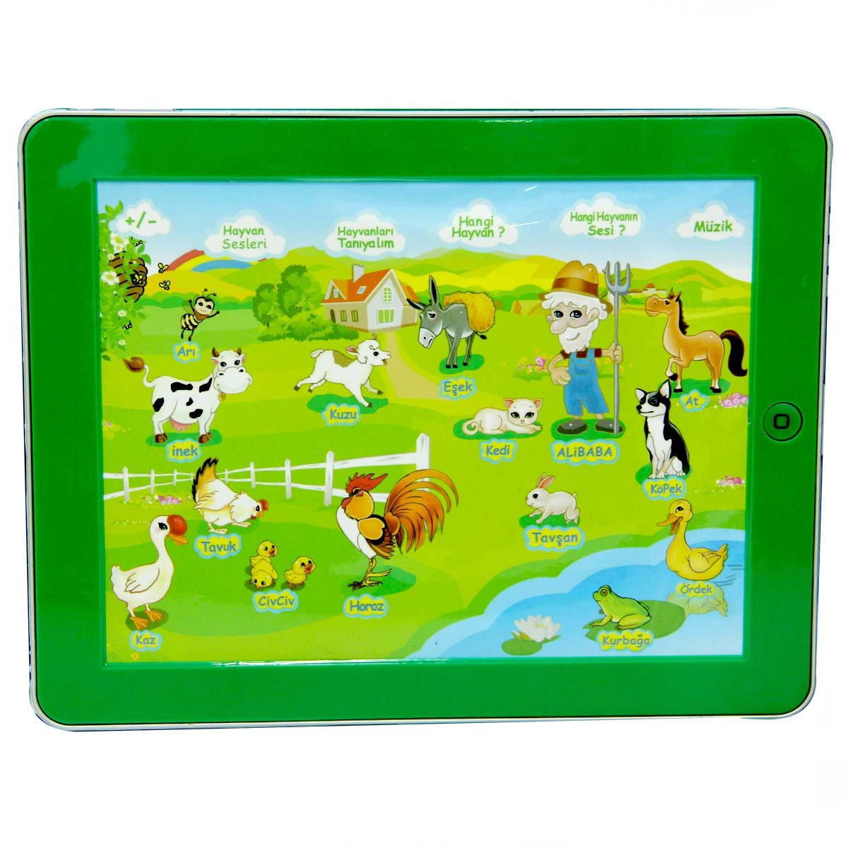 Educational Farm Pad
