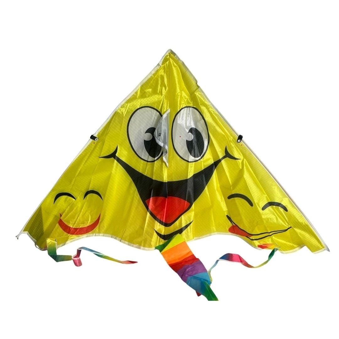 Colorful Kite