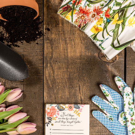 Collection image for: Patio Lawn Garden