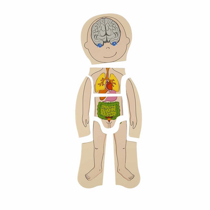 Woody Play Learn Layered Human Body Wooden Puzzle 4 x 7 Pieces