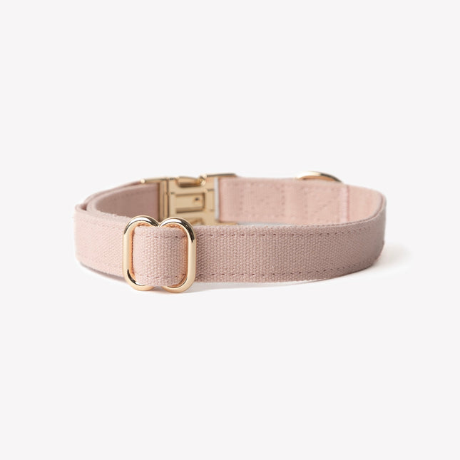 'Baby Pink' - Kanvas Köpek Tasması