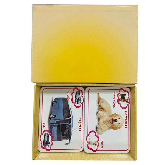 Playwood See-Know-Learn Educational Picture Flashcards