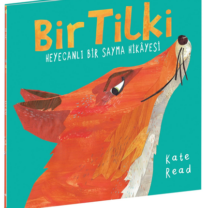 A Fox's Exciting Counting Story