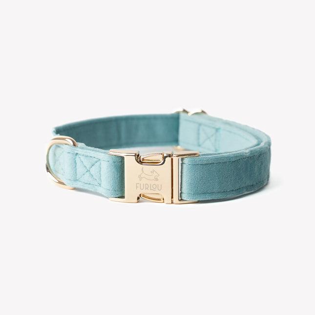 'Blue' - Kadife Köpek Tasması