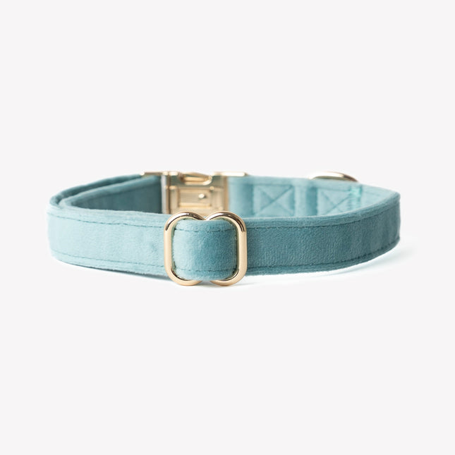 'Blue' - Kadife Köpek Tasması
