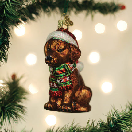 Holiday Chocolate Labrador Pup Ornament
