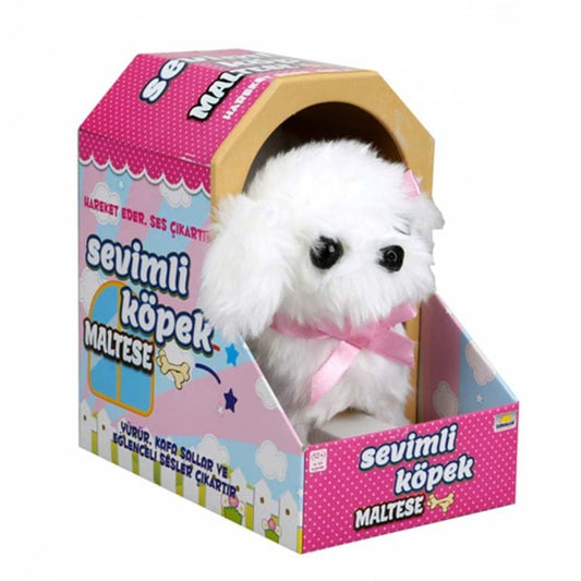 Sunman Cute Dog Maltese