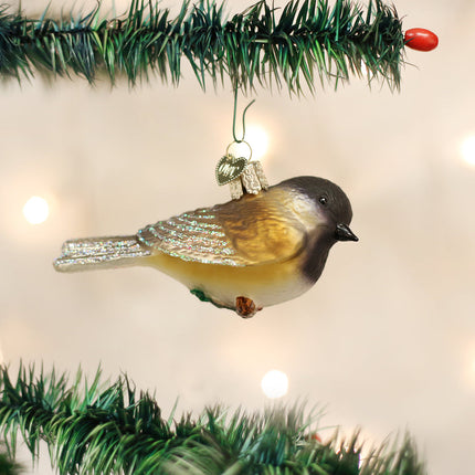 Black-capped Chickadee