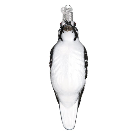 Hanging Hairy Woodpecker