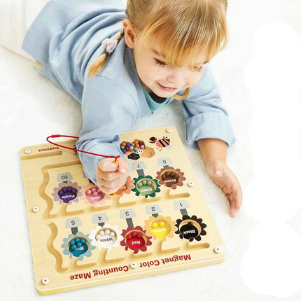 Magnetic Busy Bee Maze