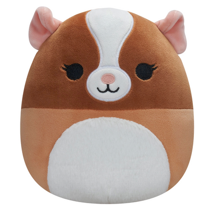 Squishmallow Guinea Pig Garret 20 cm