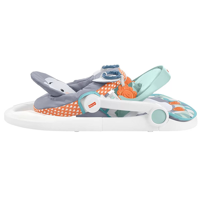 Fisher Price Baby Carrier with Tray HBF27