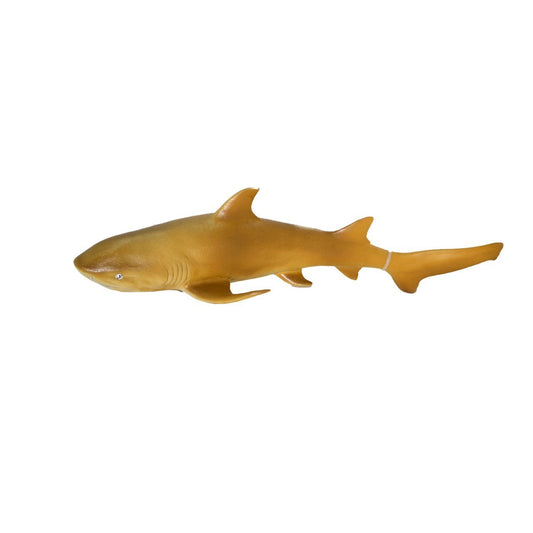 Soft Sea Animals