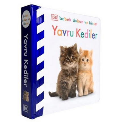 Baby Touch and Feel Series - Kittens