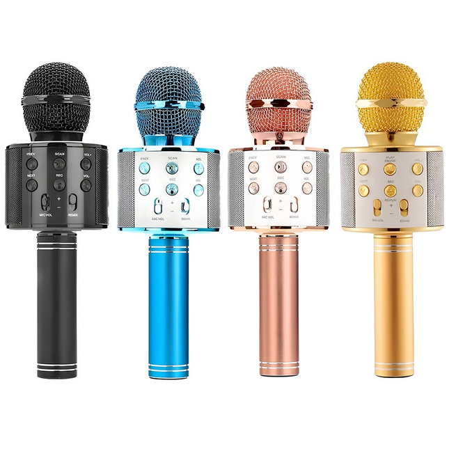 Karaoke Wireless Microphone