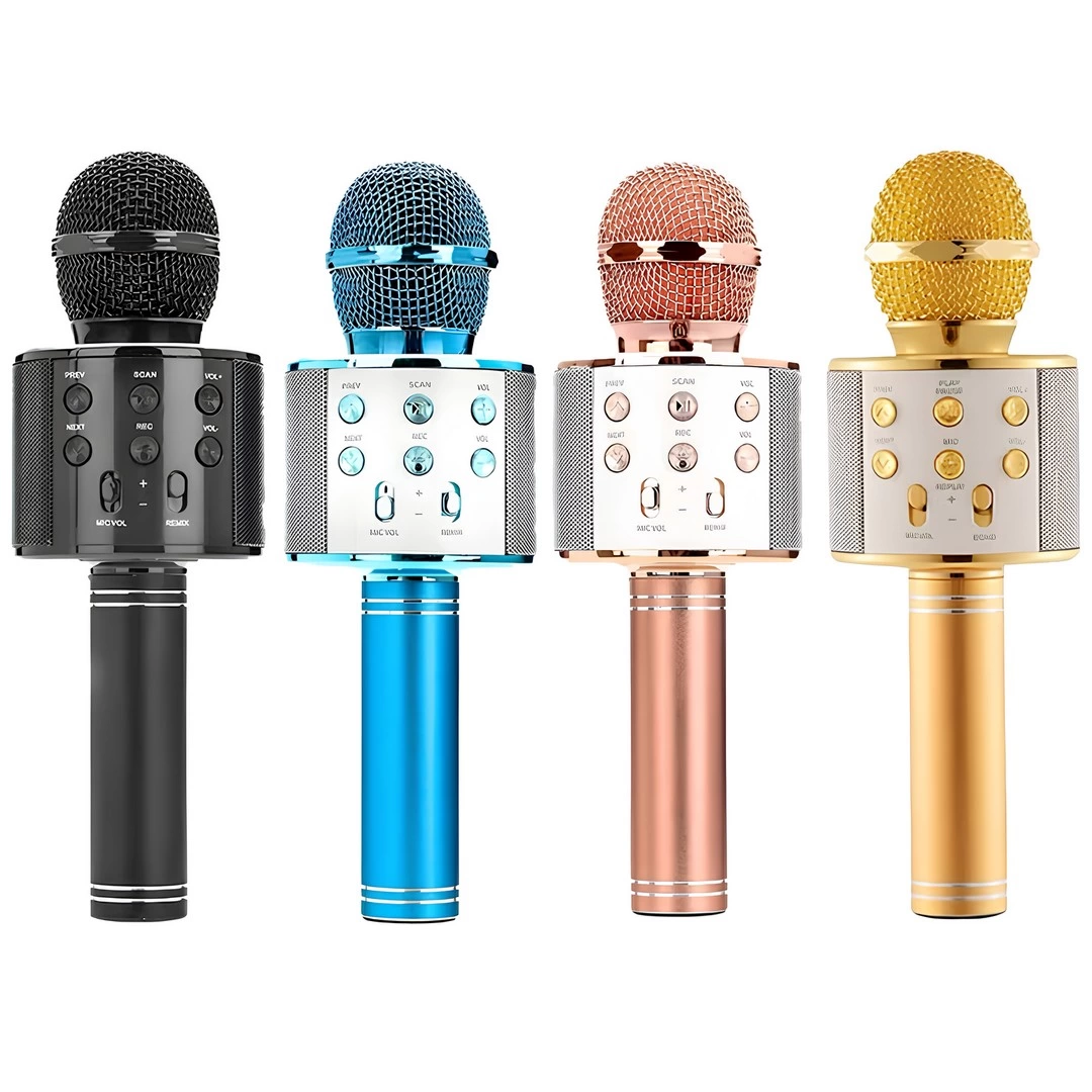 Karaoke Wireless Microphone
