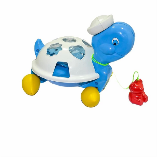 Bultak Turtle
