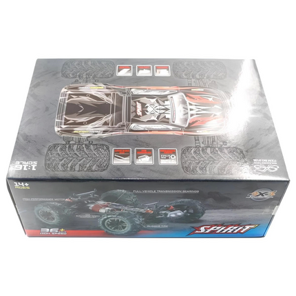Rechargeable Remote Control Speed ​​Car 1:16 Q901