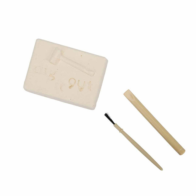 Glow-in-the-Dark Dinosaur Fossil Excavation Kit