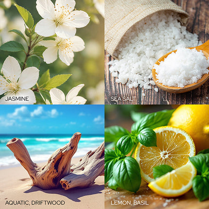 Warm Seas &amp; Greetings Candle