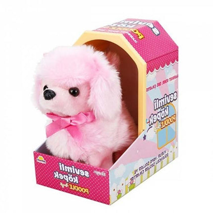 Sunman Cute Dog Poodle