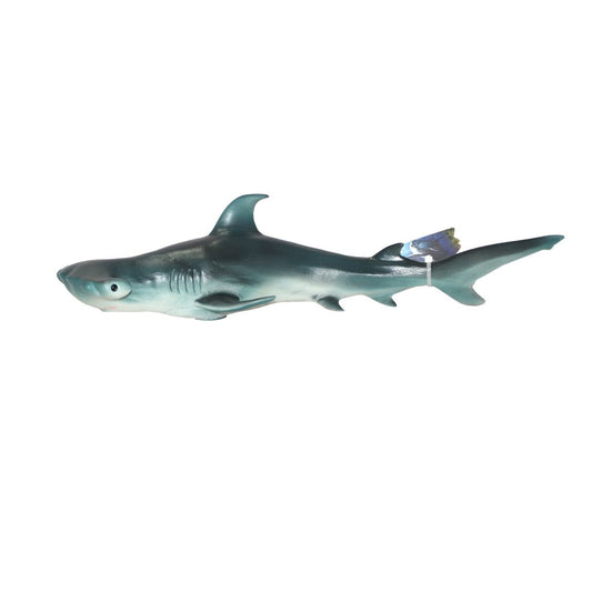 Soft Sea Animals