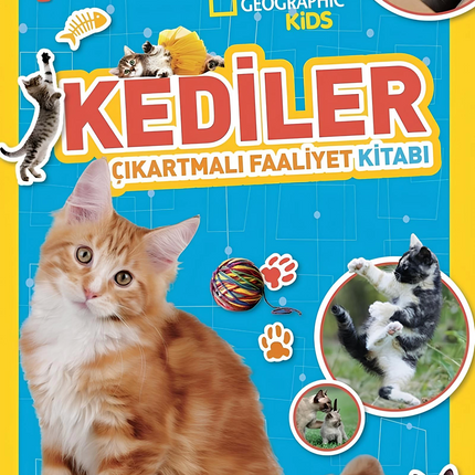 National Geographic Kids Cats Sticker Activity Book