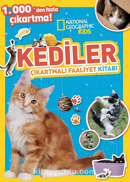 National Geographic Kids Cats Sticker Activity Book