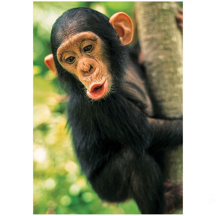 Chimpanzee Puzzle 100 Pieces