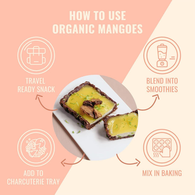 Sunny Fruit Soft Organic Dried Mangoes - 1 Pound Bulk Bag | Healthy, Sweet Snack | NON-GMO, VEGAN, HALAL, KOSHER, NO PRESERVATIVES, NO SULFIDES, NO SUGAR ADDED