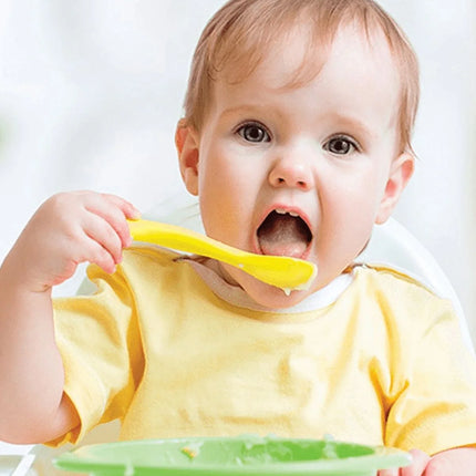 Babyjem 2'li Mama Kaşığı Pembe