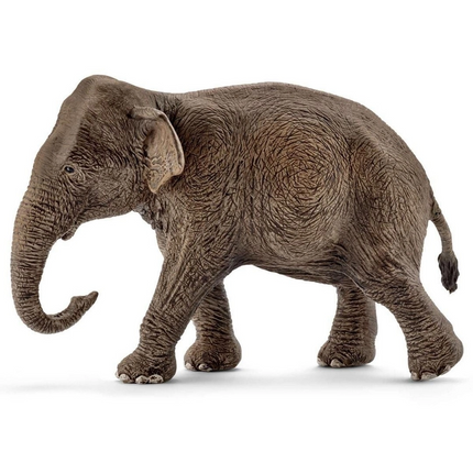 Schleich Dişi Asya Fili