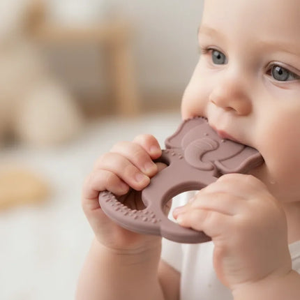 Babyjem Silikon Fil Diş Kaşıyıcı Mocha