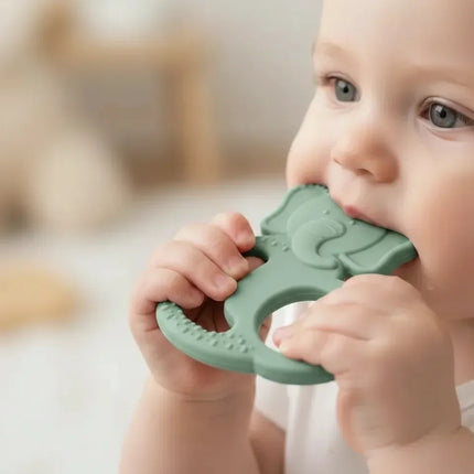 Babyjem Silikon Fil Diş Kaşıyıcı Mint
