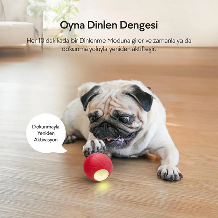 Cheerble Şarjlı Akıllı İnteraktif Köpek Oyun Topu Kırmızı Small 5.5 cm