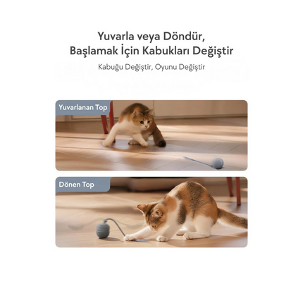 Cheerble Wicked Ball Duo2 İnteraktif Şarjlı Kedi Oyun Topu