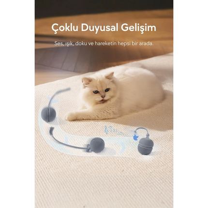 Cheerble Wicked Ball Duo2 İnteraktif Şarjlı Kedi Oyun Topu