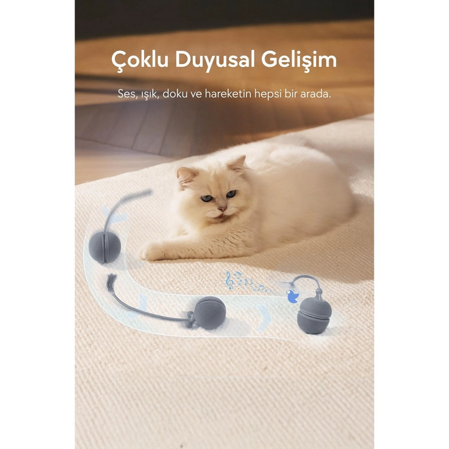Cheerble Wicked Ball Duo2 İnteraktif Şarjlı Kedi Oyun Topu